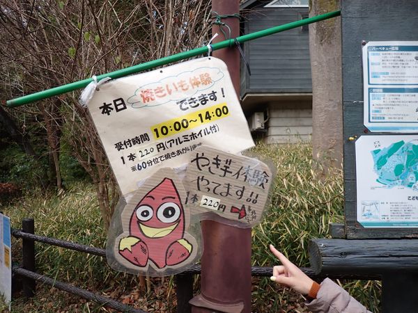 WB029: My first yaki-imo experience