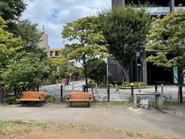 WB055: Mini-park Adventures