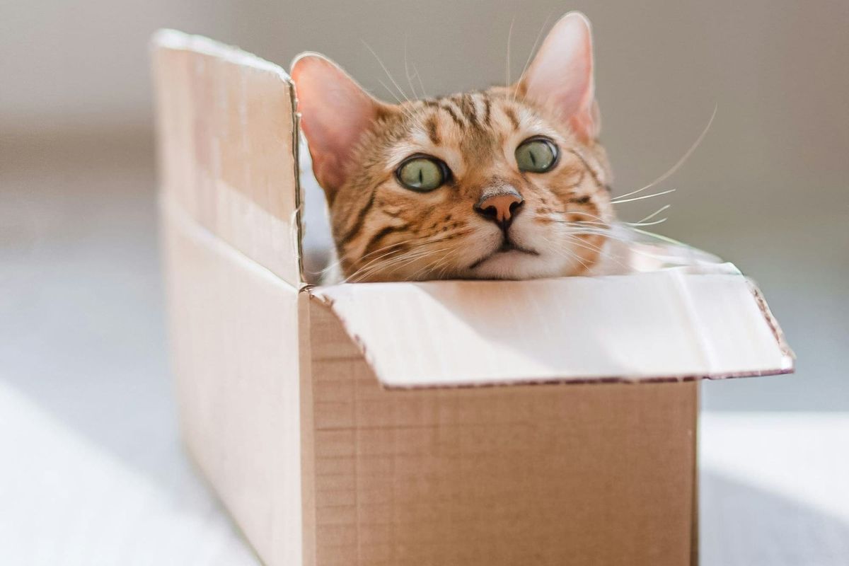 Schrödinger's Alert: Finding Risks vs. Finding Threats