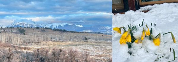 Ranch Update (5-6-2025)