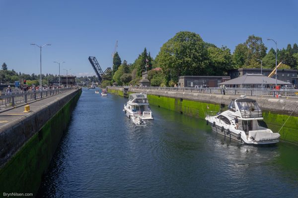 Ballard Locks