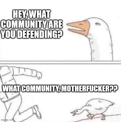 the goose chasing meme, where in the first frame a goose says "hey, what community are you defending?" and in the second frame, the goose is yelling "what community, motherfucker??" while chasing someone who is running away