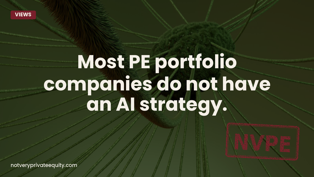 Most PE portfolio companies do not have an AI strategy.