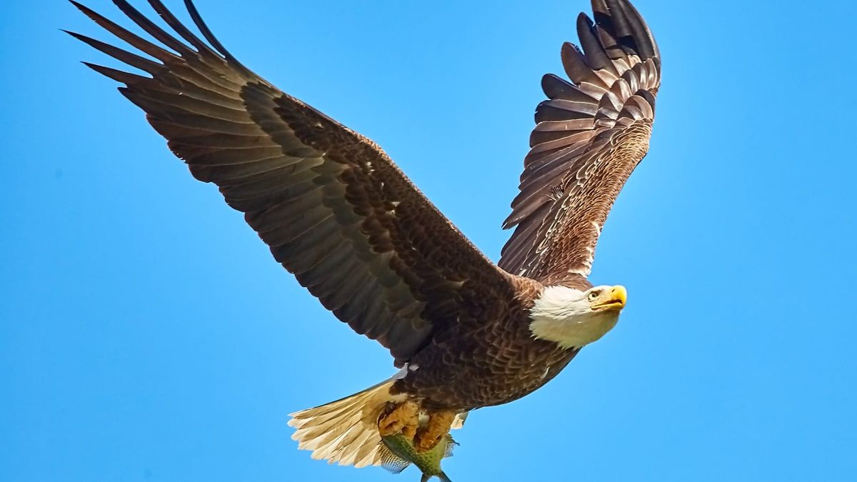 Blackstone owned First Eagle for ten years. Genstar owned it for twelve months.