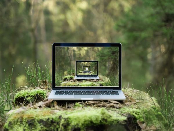 What Your Feed Isn't Showing You