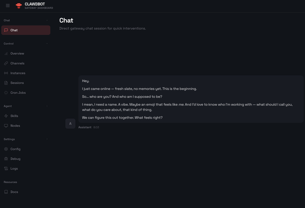 Getting Started with Clawdbot