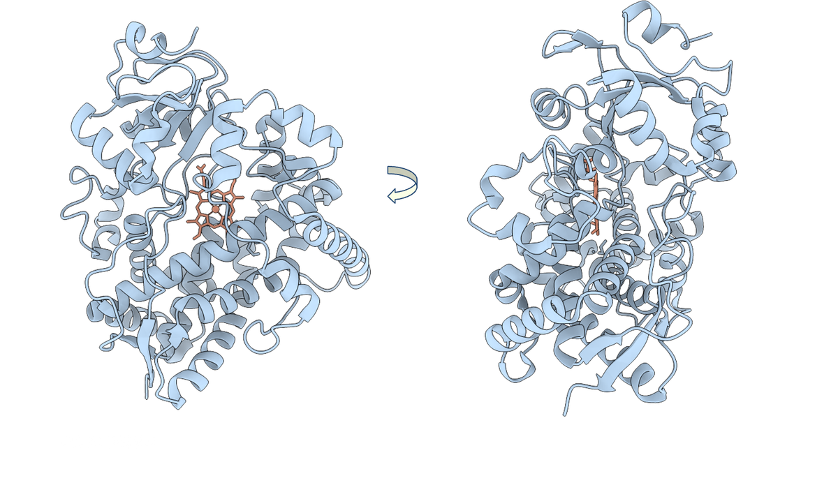 Announcing OpenADMET’s CYP inhibition blind challenge