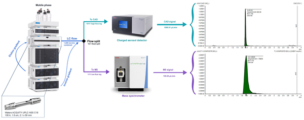Navigating PXR Chemical Space with High-Throughput Chemistry and Standard-Free Quantification