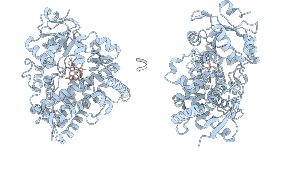 Announcing OpenADMET’s CYP inhibition blind challenge