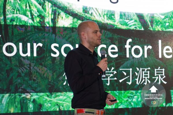 Cultural observations on self-management and Holacracy in China