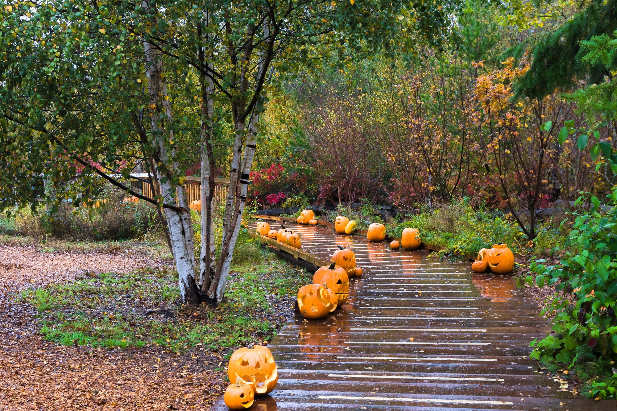 House Of Dun Halloween Trail