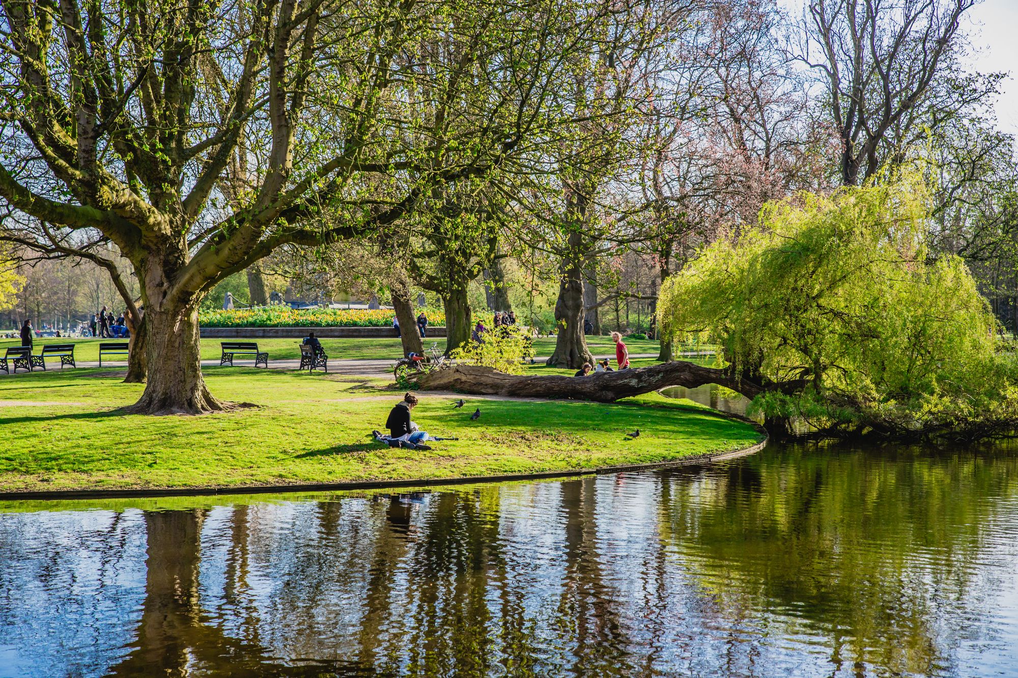 Vondelpark Amsterdam