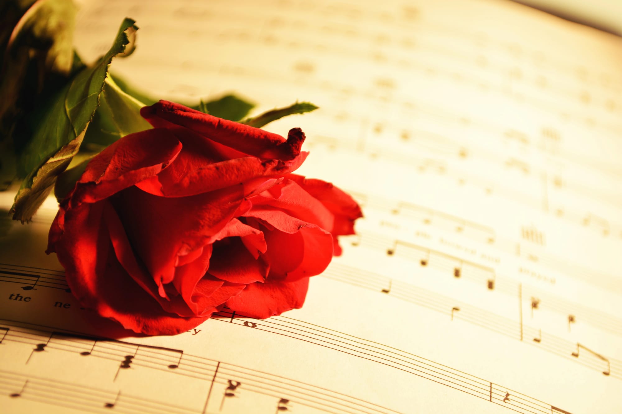 North East of Scotland Music School