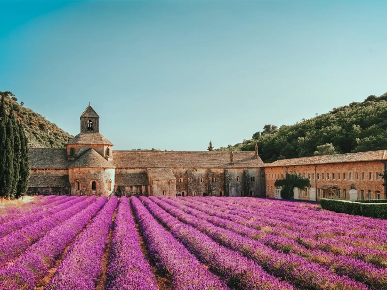 Abbey of Senanque with lavender fields in Provence, France.