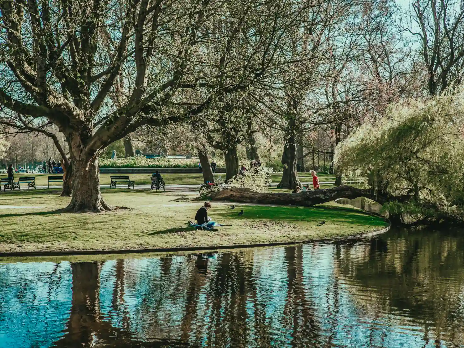 Woman sitting in Vondelpark in Amsterdam.