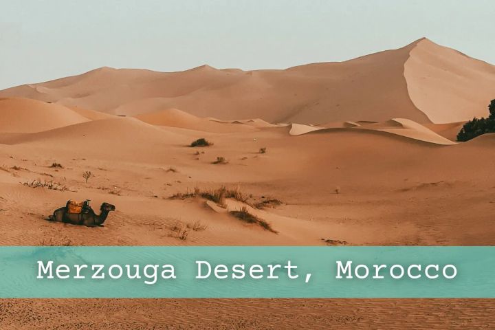 View of the Sahara Desert dunes with a lone camel sitting in the sand.