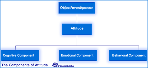 Attitude Components