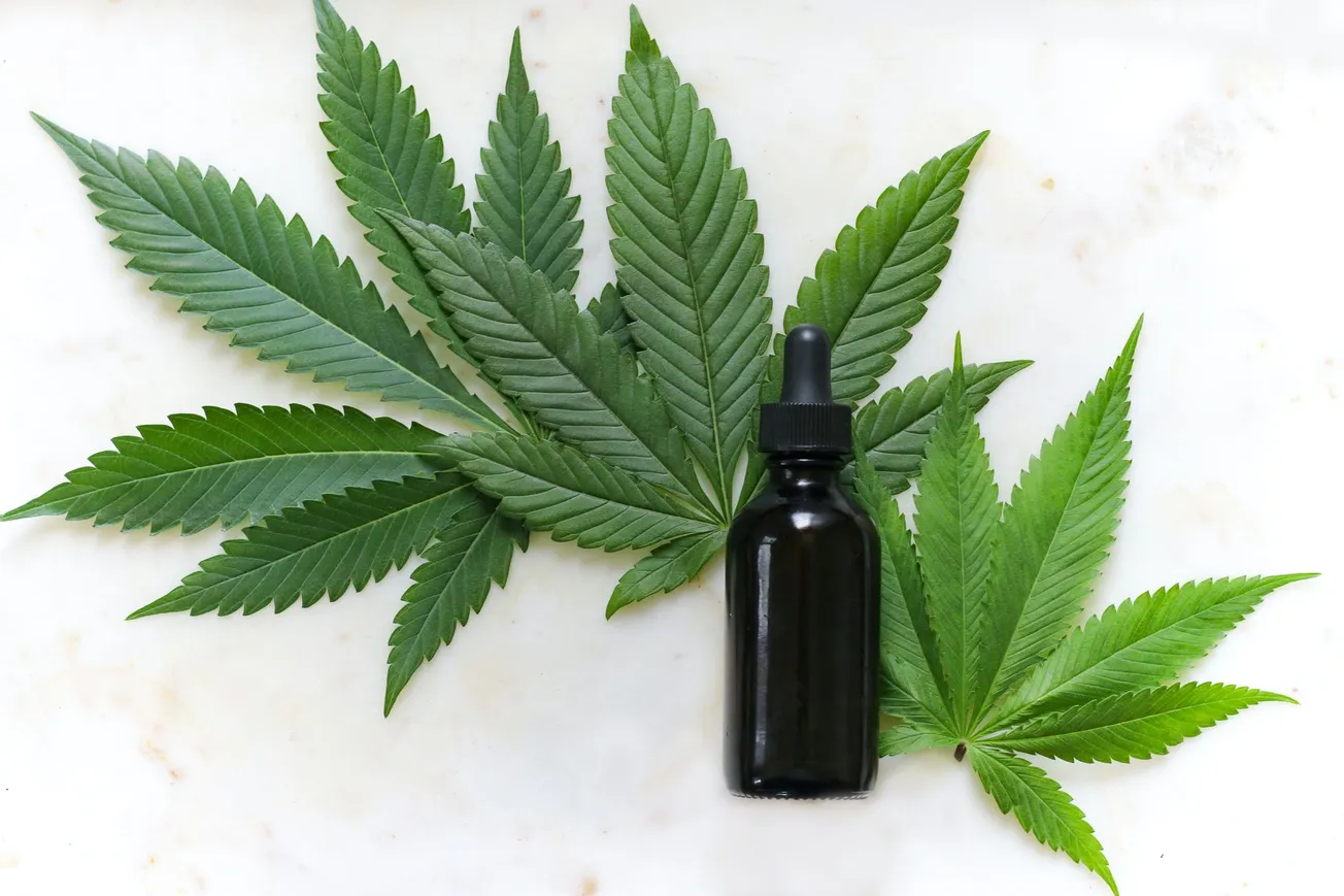Marijuana leaves and tincture bottle