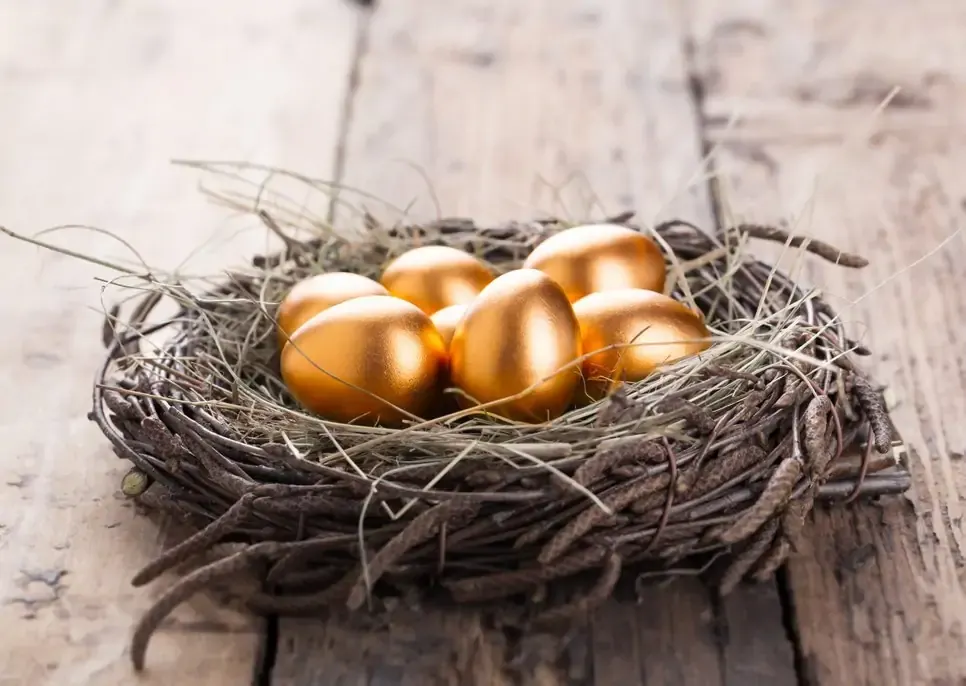 Nest Egg with golden eggs
