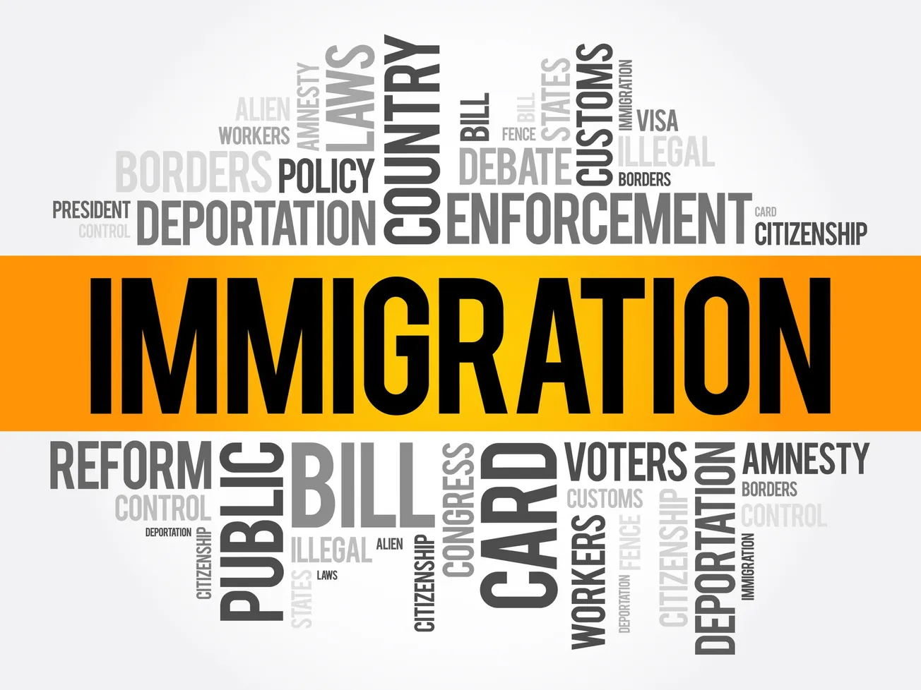 Immigration inforgraphic