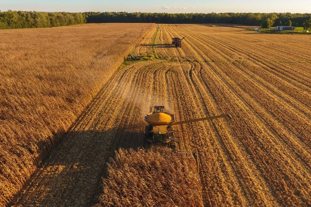 Grain collector in field