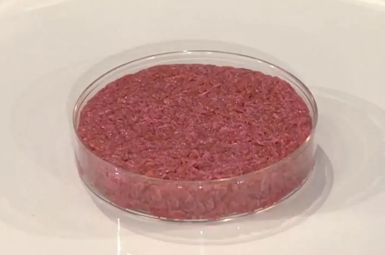 Will Labs Replace Farms?