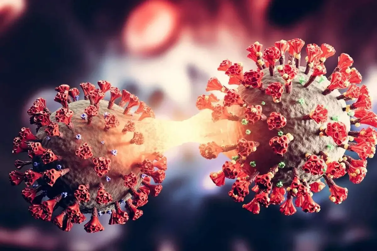 Was COVID A Manufactured Crisis?