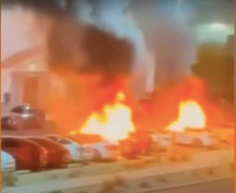 Radicals Seek To Thwart Reform By Attacking Teslas