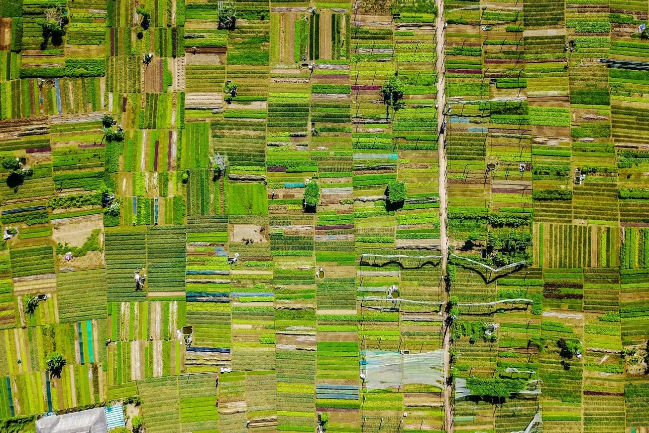 Republican Voters Sound Alarm On Chinese Ownership Of US Farmland