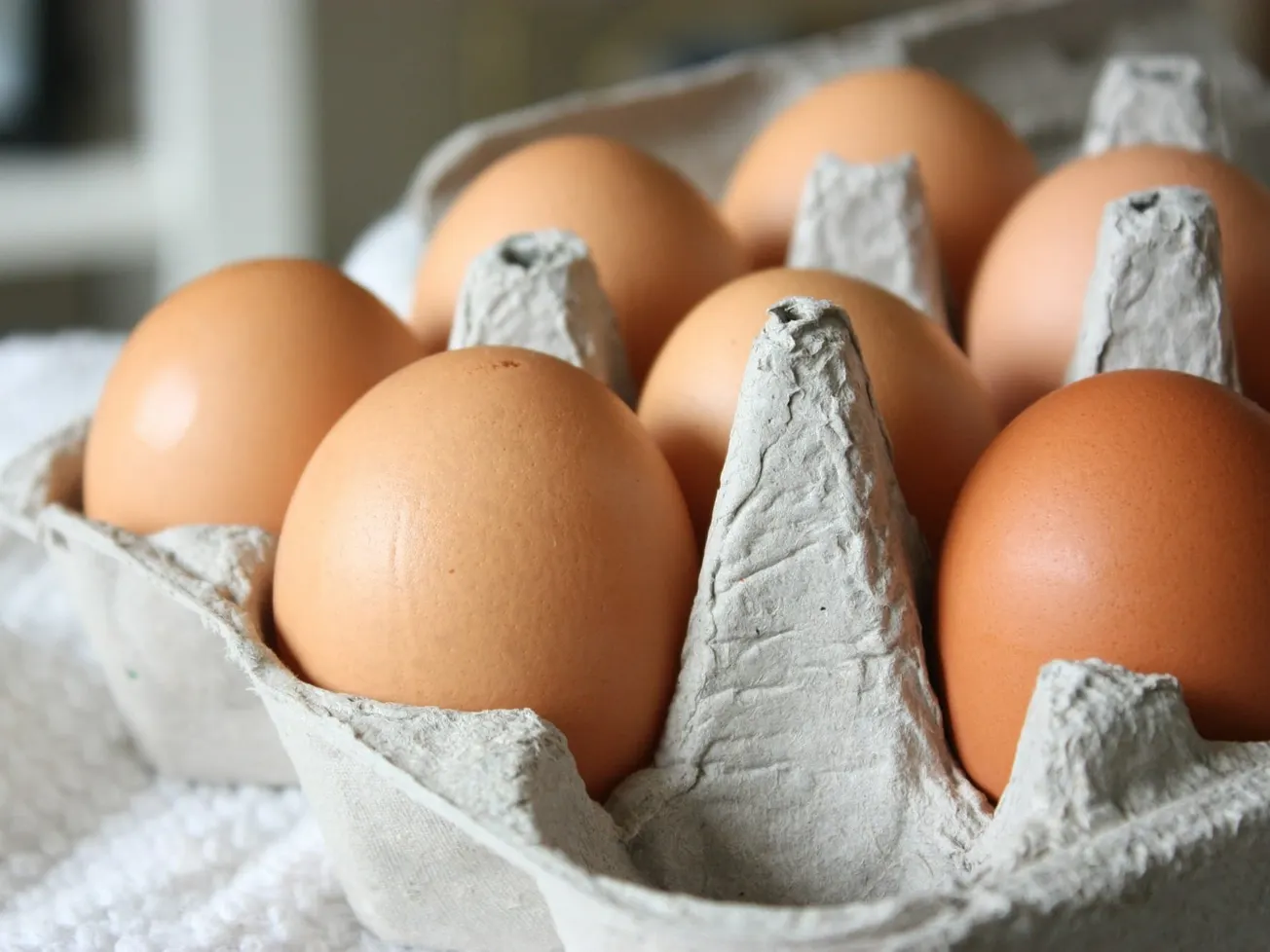 Egg Prices Plunge 61% Under Trump