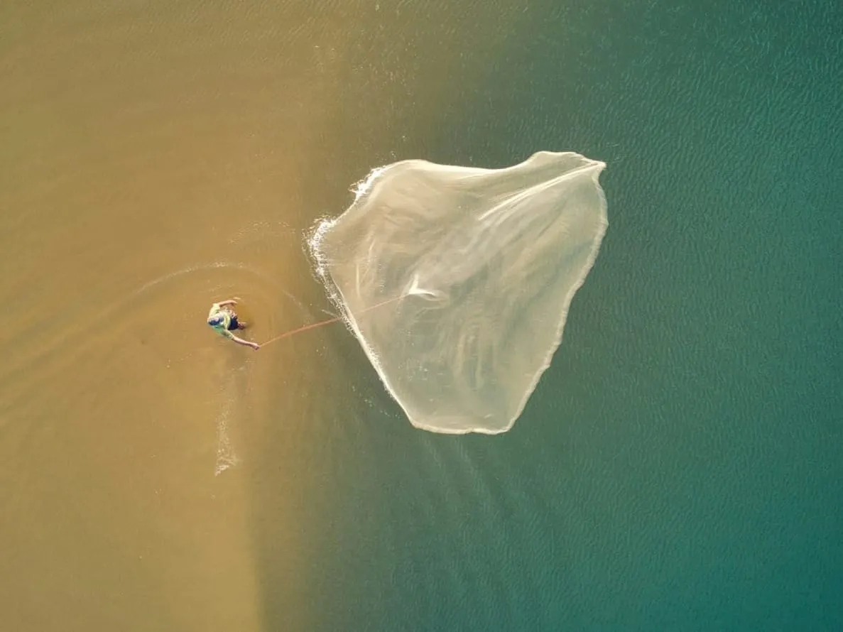 Why States Warn Continued UN Funding Hurts Farmers