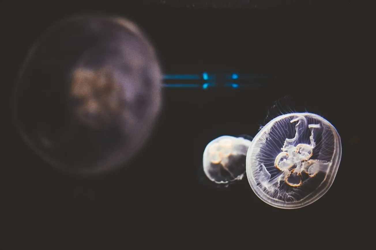 There’s An Insidious New Plan Creeping In To End Humanity As We Know It