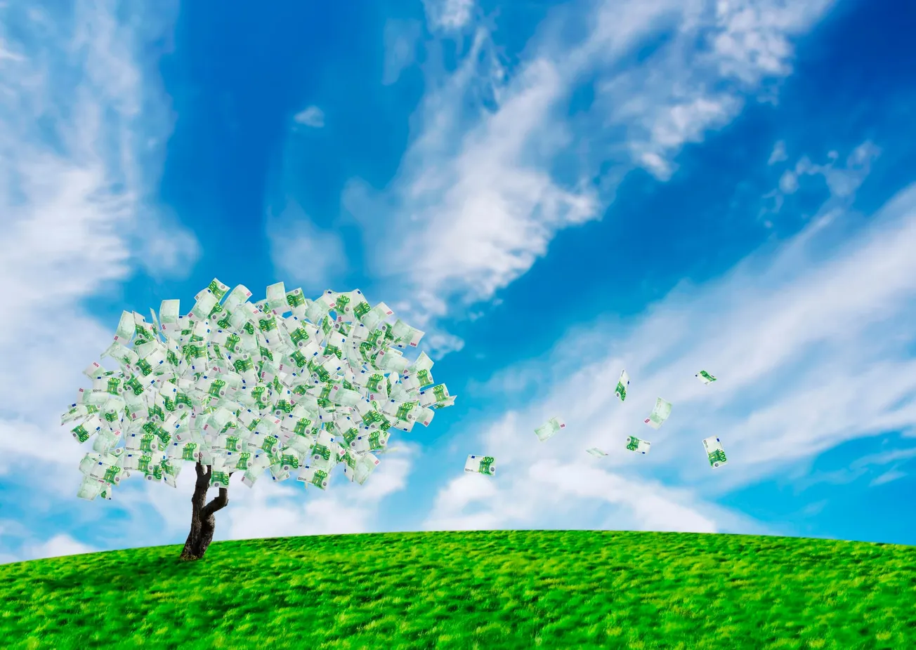 Money Grows On Trees?