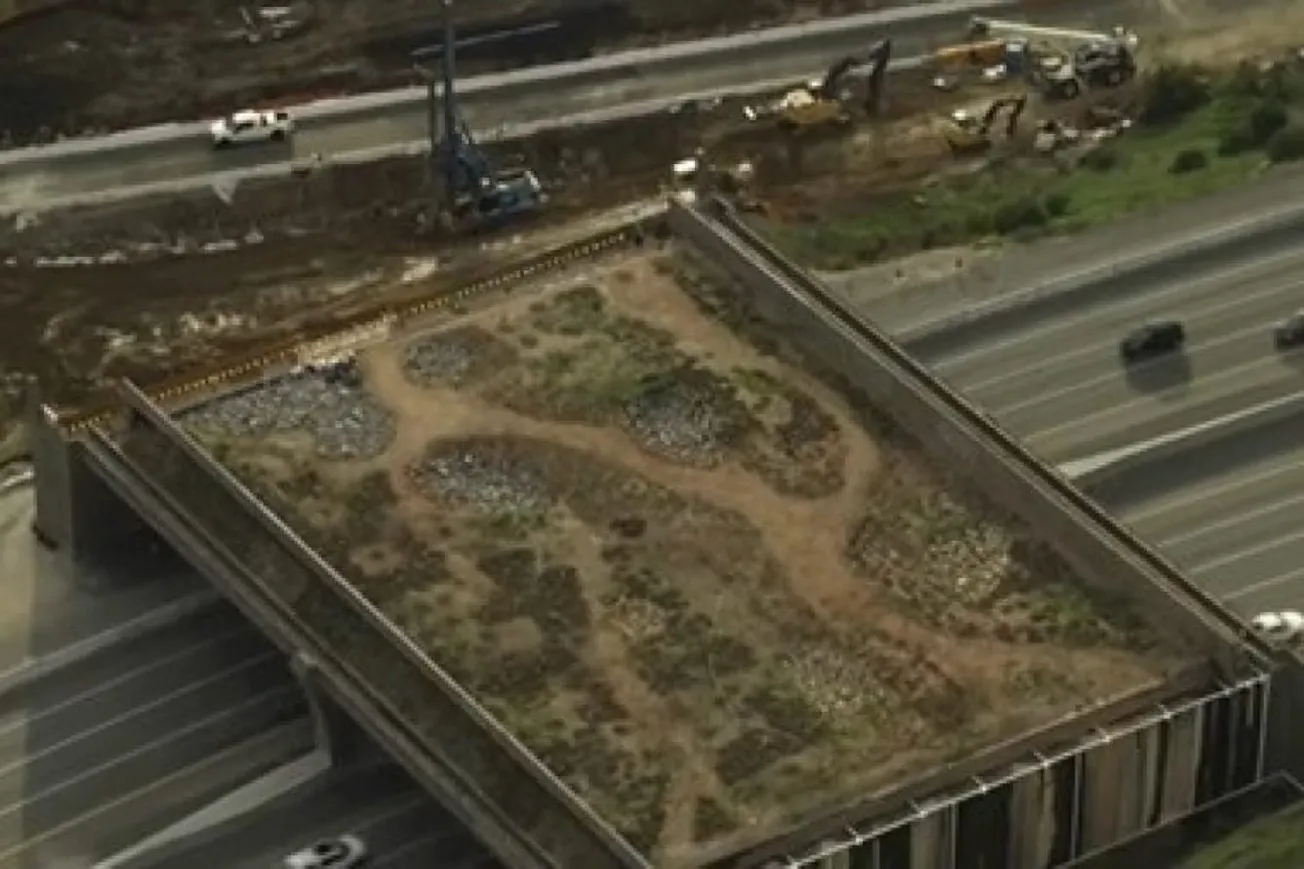 California’s ‘Butterfly’ Bridge Fiasco Exposes Blue State Dysfunction