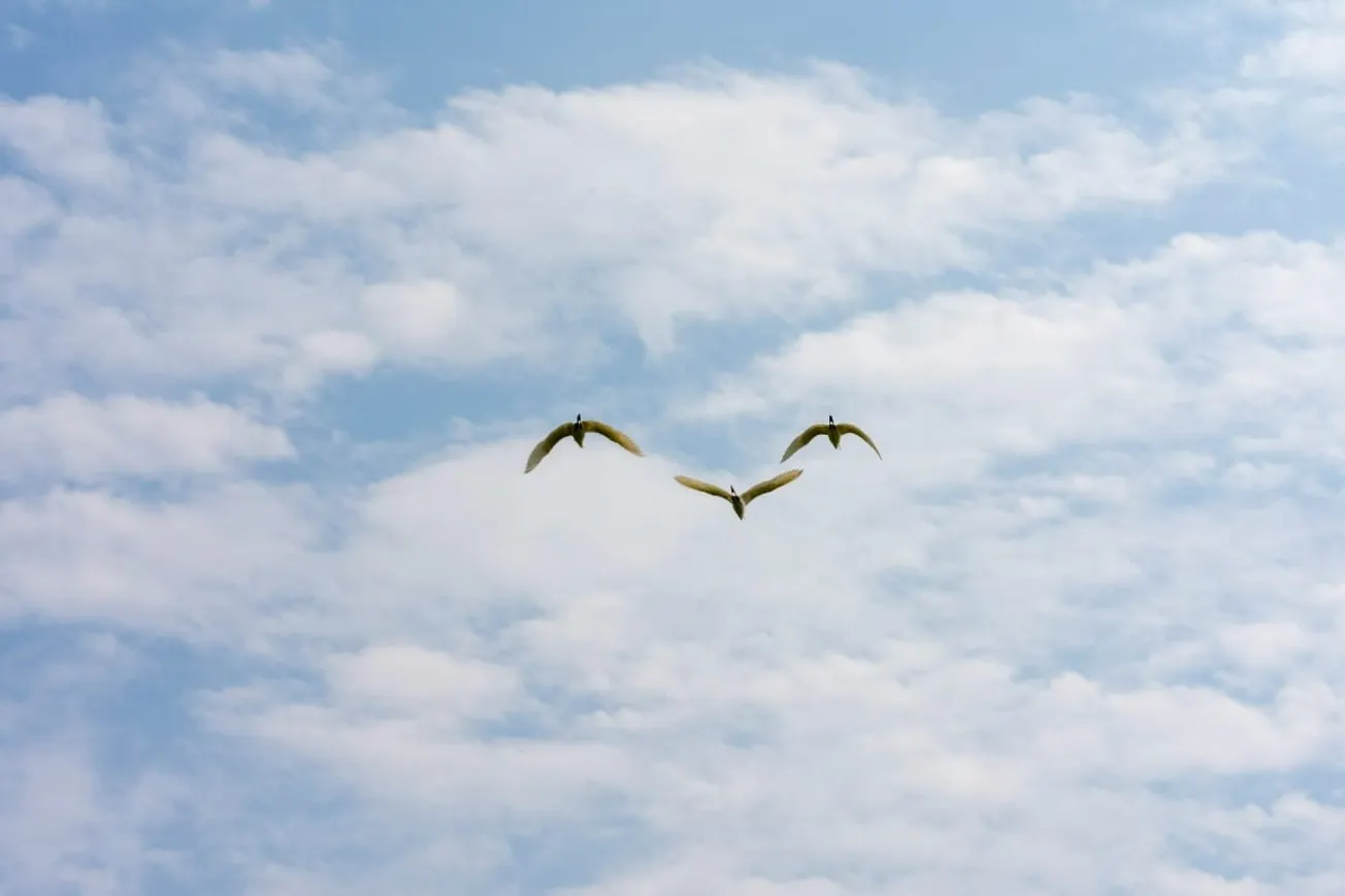 The “Right To Roam” Is Not A Right. It’s A State-Issued Trespass Permit