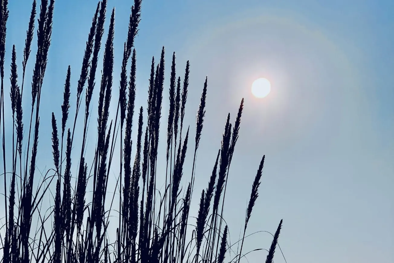 End the Harmful Time Change Ritual