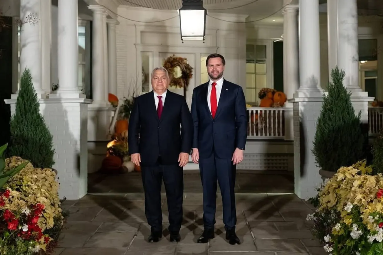 Hungary Elections: U.S. VP Vance Accuses EU Of Interference