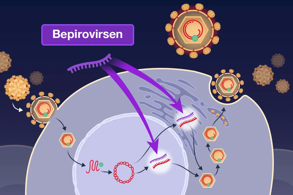 Experimental Drug Offers 'Functional Cure' For Chronic Hepatitis B
