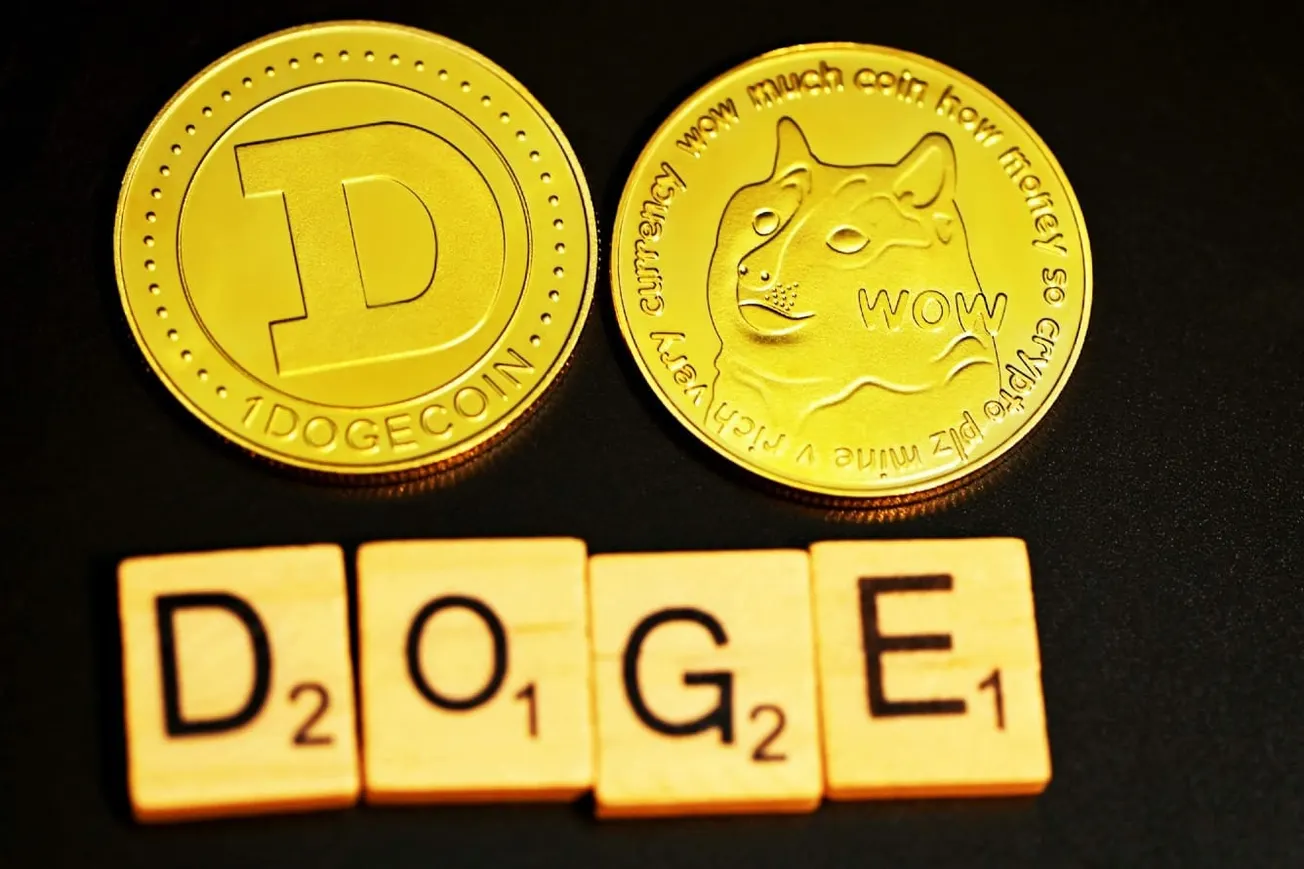 Making Government Lean Again: The DOGE Effect