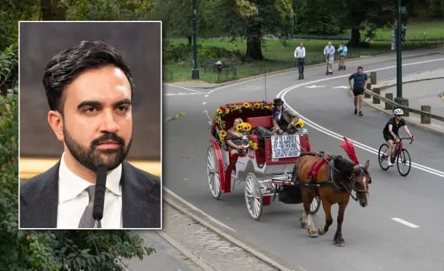 Horse Death Sparks Calls To End Carriage Rides In New York City