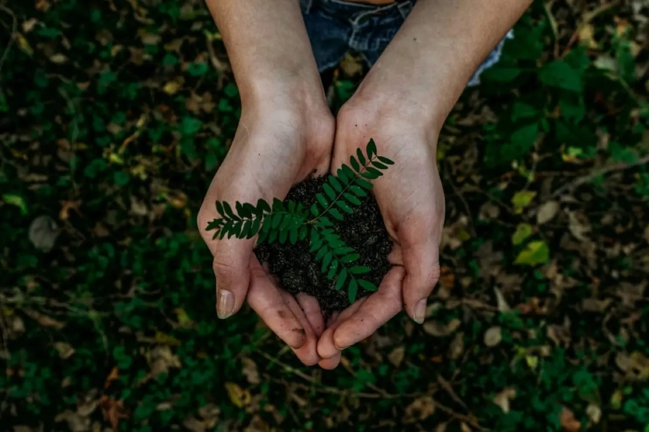 Conservation Was Always A Conservative Value