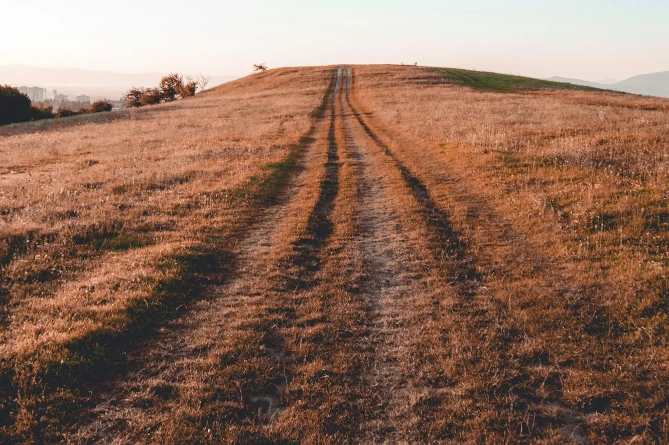 Stolen Once, Stolen Twice: The Libertarian Case Against Zimbabwe’s Land Grabs