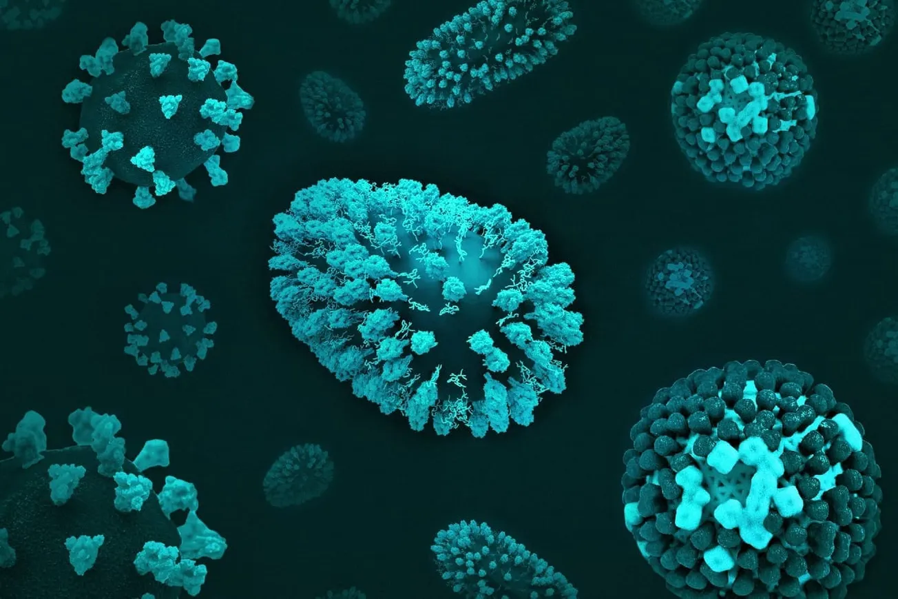 Hantavirus: Market Versus Government Disease Control