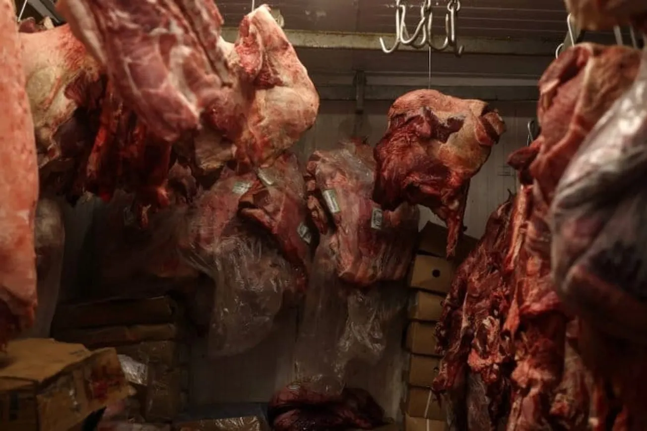 Brazil Introduces New Meat Export Rules For EU Market