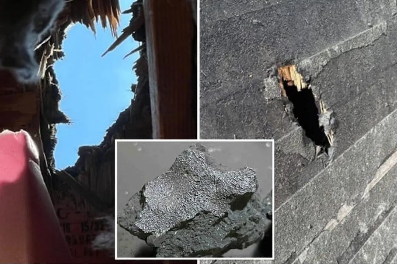 Scientists Discover Life-Linked Molecules In 2024 Meteorite