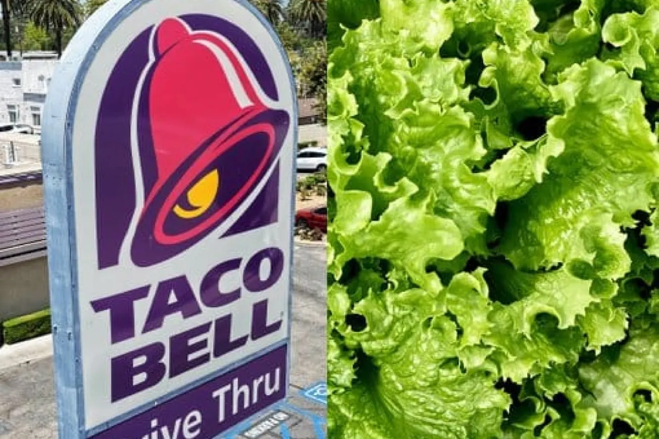 Taco Bell Removes Lettuce Amid Parasite Outbreak Probe