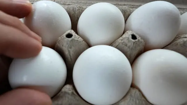 FDA Recalls Nearly 19 Million Eggs Over Salmonella Outbreak