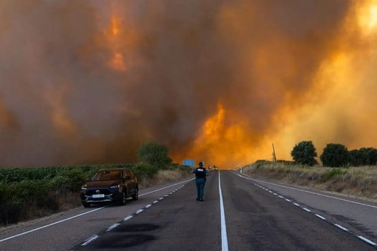 Watch: Firefighters In Spain And France Have contained The vast wildfires
