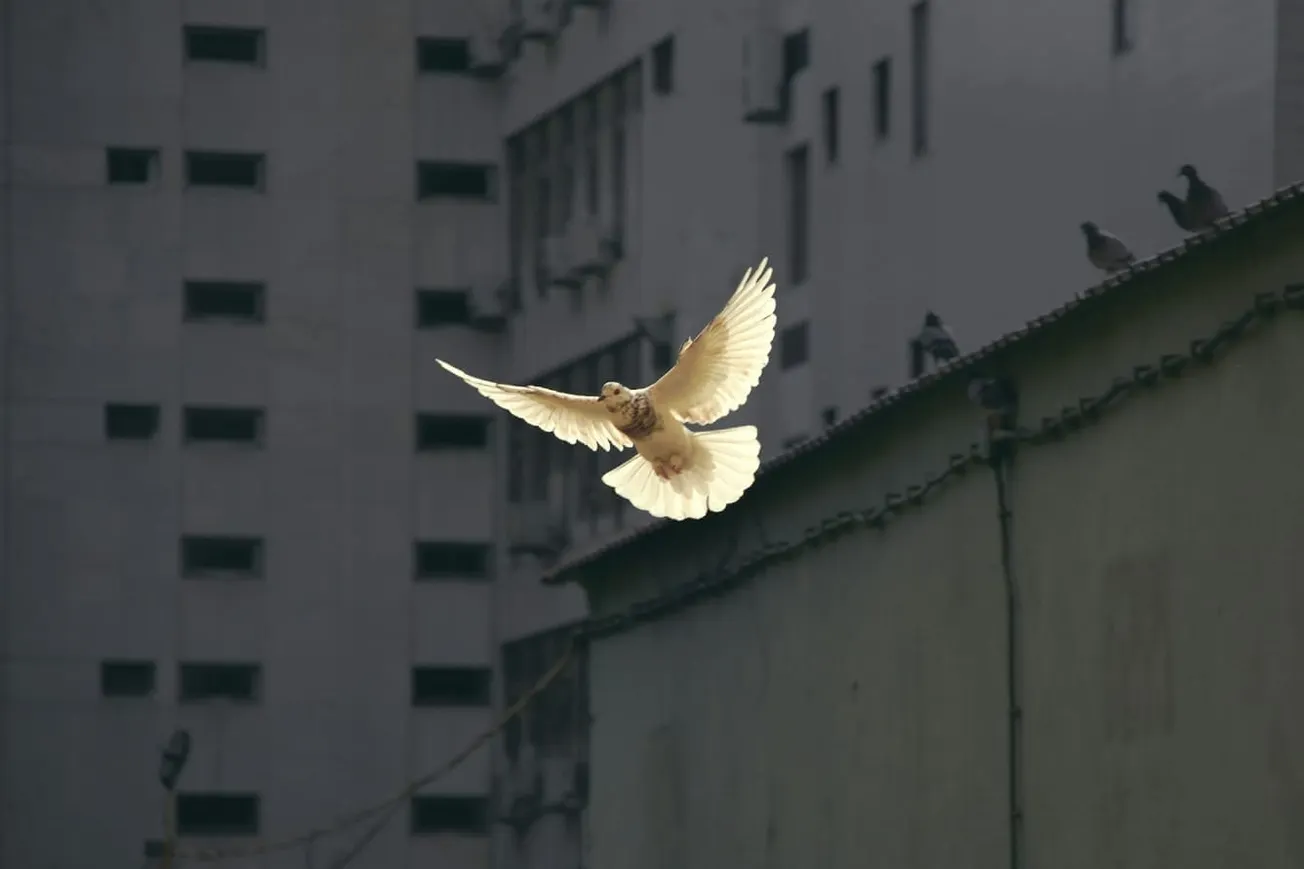 No Peace In Middle East Until Israel Stops Its Killing Spree