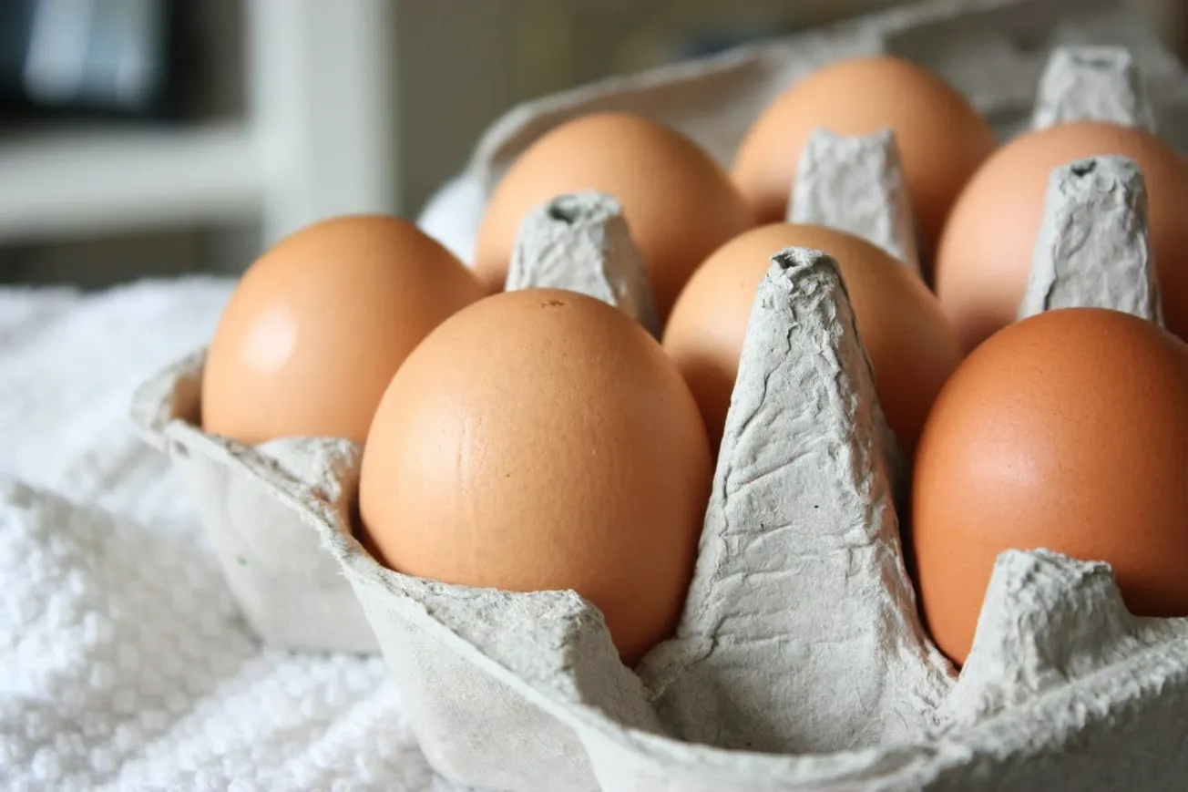 FDA Recalls 1.6 Million Eggs Over Salmonella Risk